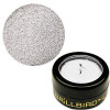 Glitter Powder4