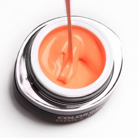 Brush&Go nr 54